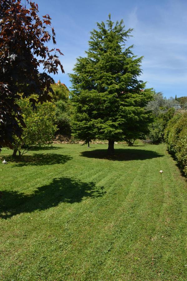 Rosso Del Chianti Bed & Breakfast Panzano in Chianti Dış mekan fotoğraf