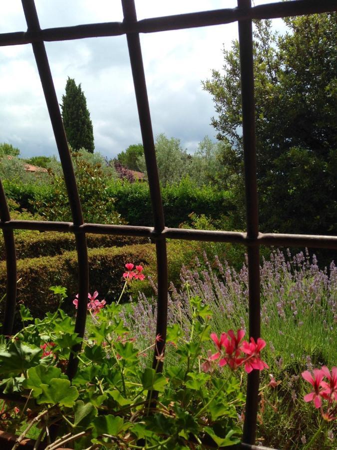 Rosso Del Chianti Bed & Breakfast Panzano in Chianti Dış mekan fotoğraf