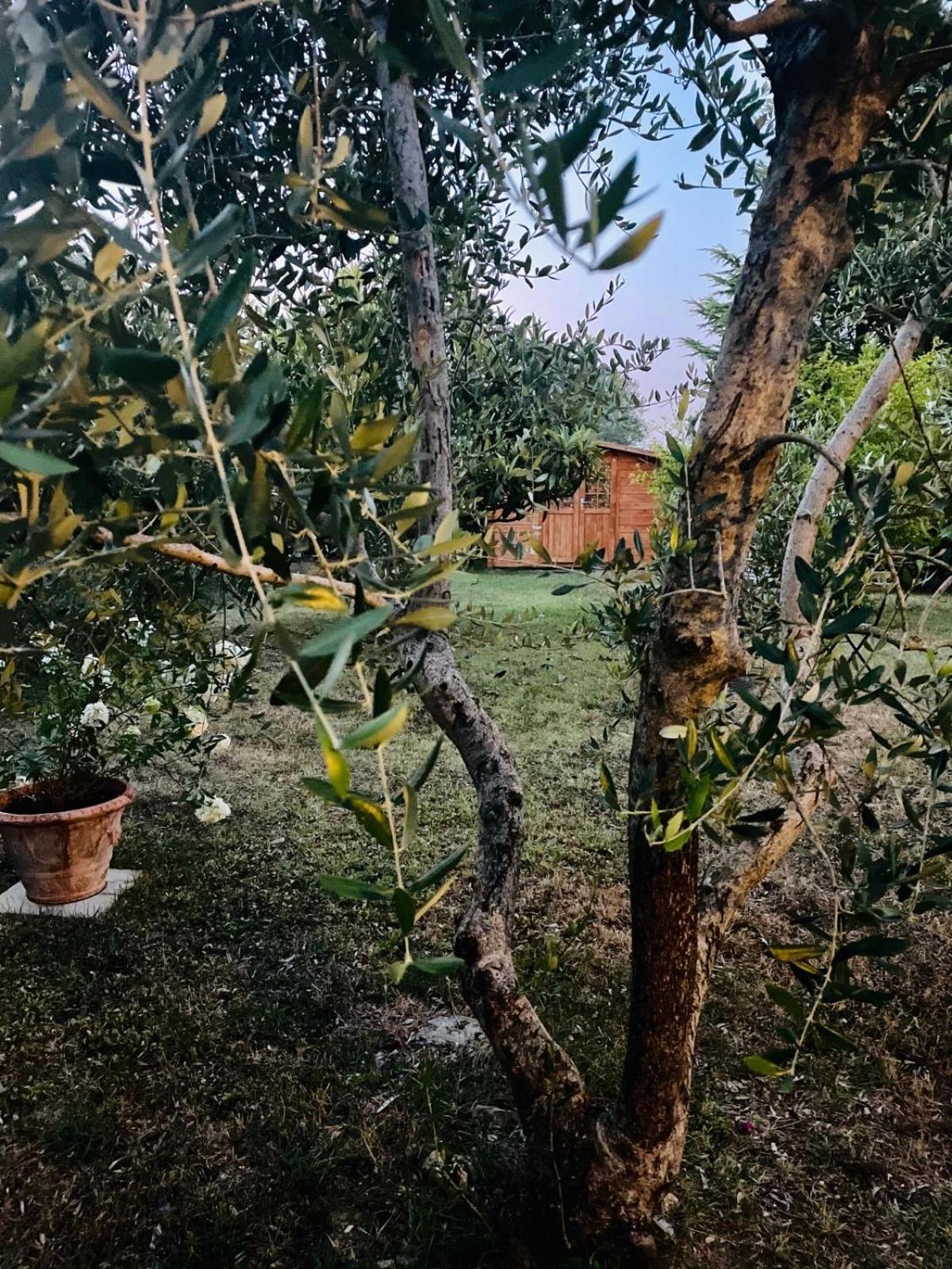 Rosso Del Chianti Bed & Breakfast Panzano in Chianti Dış mekan fotoğraf